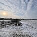 Snagov - Vladiceasca vila 5 camere langa lac si padure  450 mp teren  natura